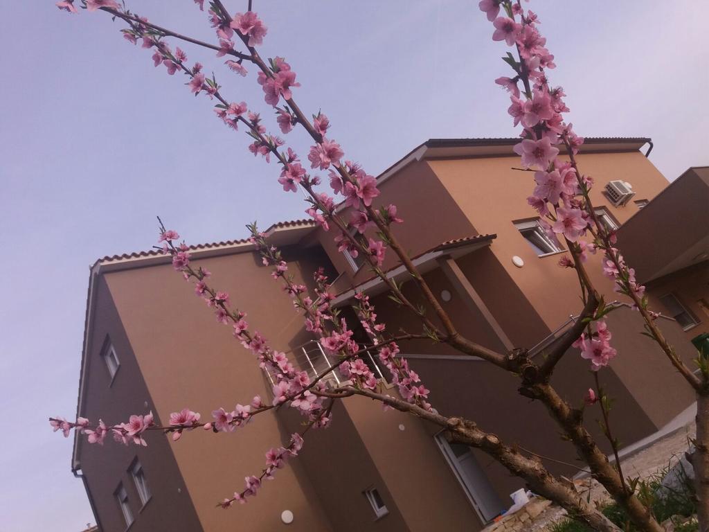 Apartmani B&B Ližnjan المظهر الخارجي الصورة